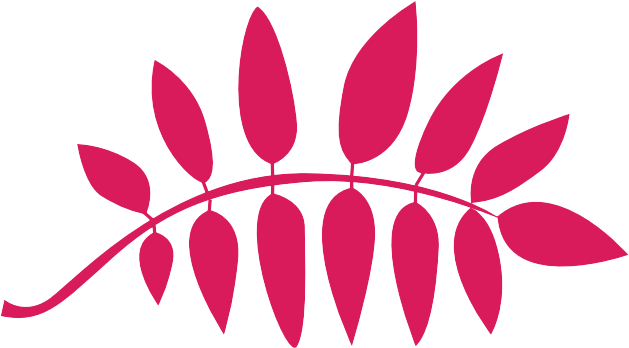 Esthecora